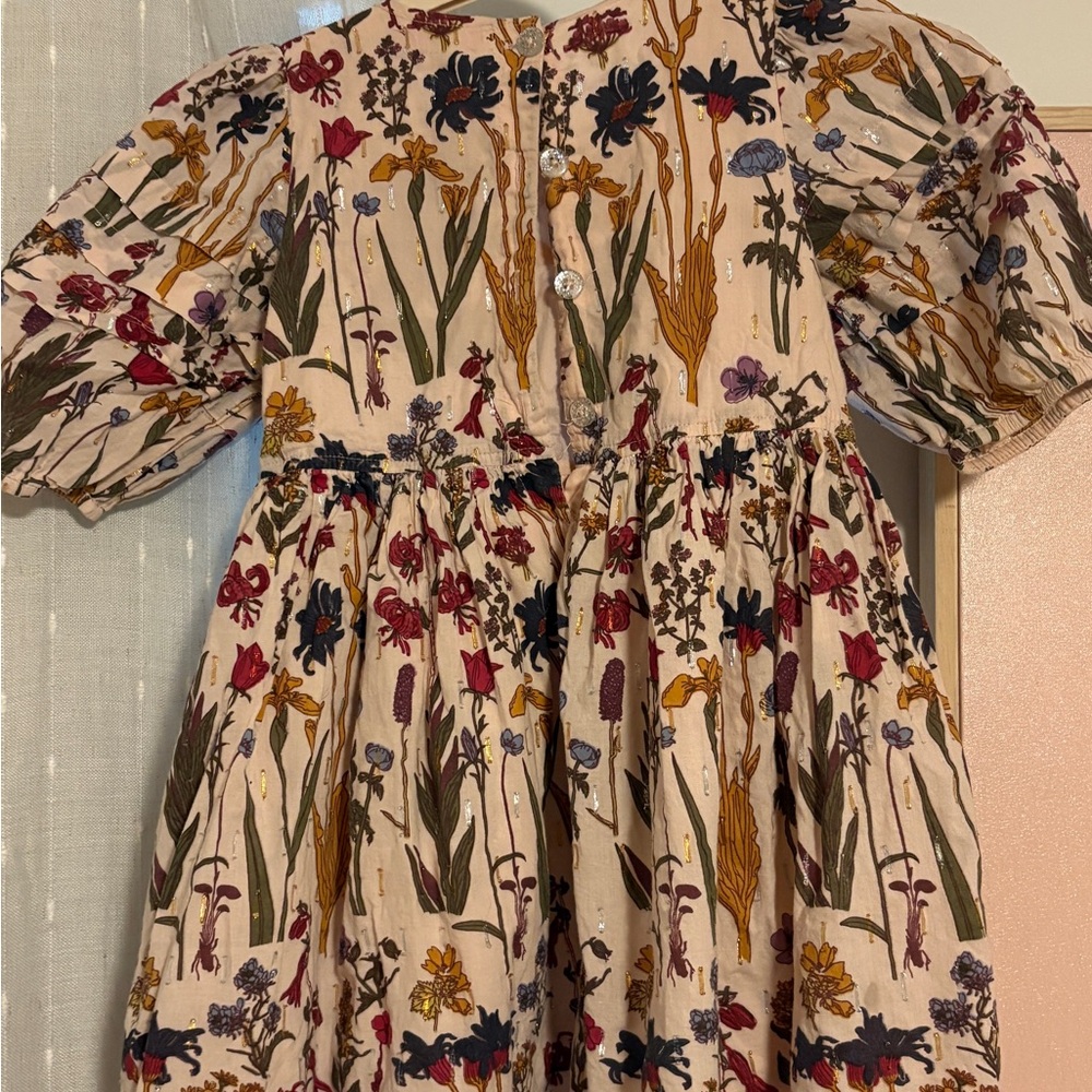 PINK CHICKEN GIRLS BROOKE DRESS - AUTUMN FLOWERS